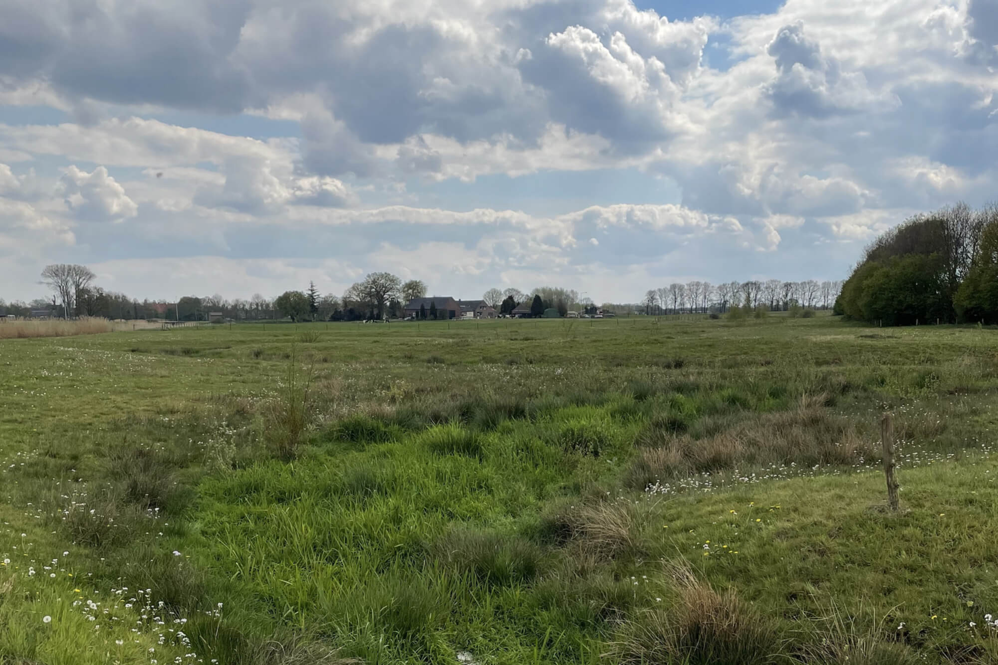 Een wandeling in de natuur